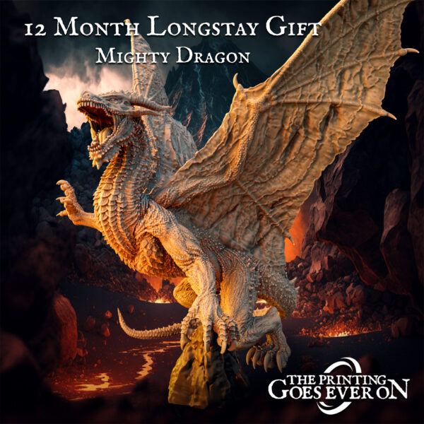 Mighty Dragon - Twelve Month Longstay Gift