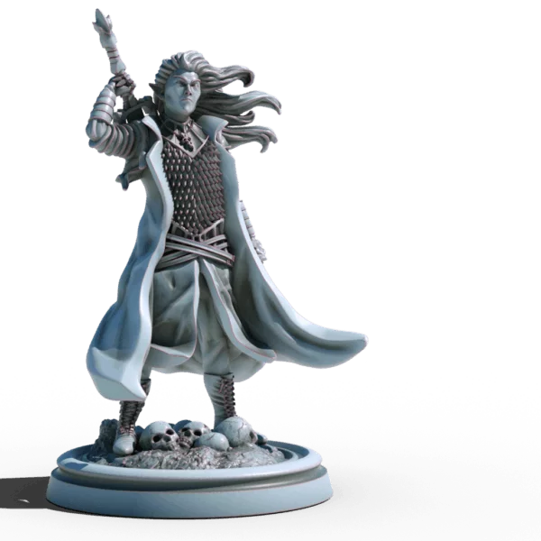 selador black guard dark elf 3d printable tabletop miniature