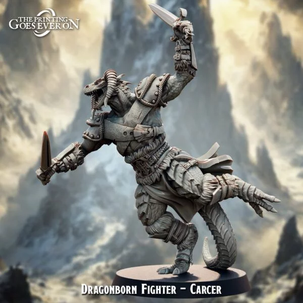 Dragonborn Fighter - Carcer